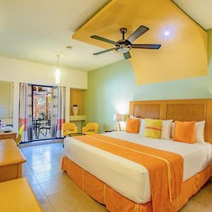 Superior King Room Adults Only